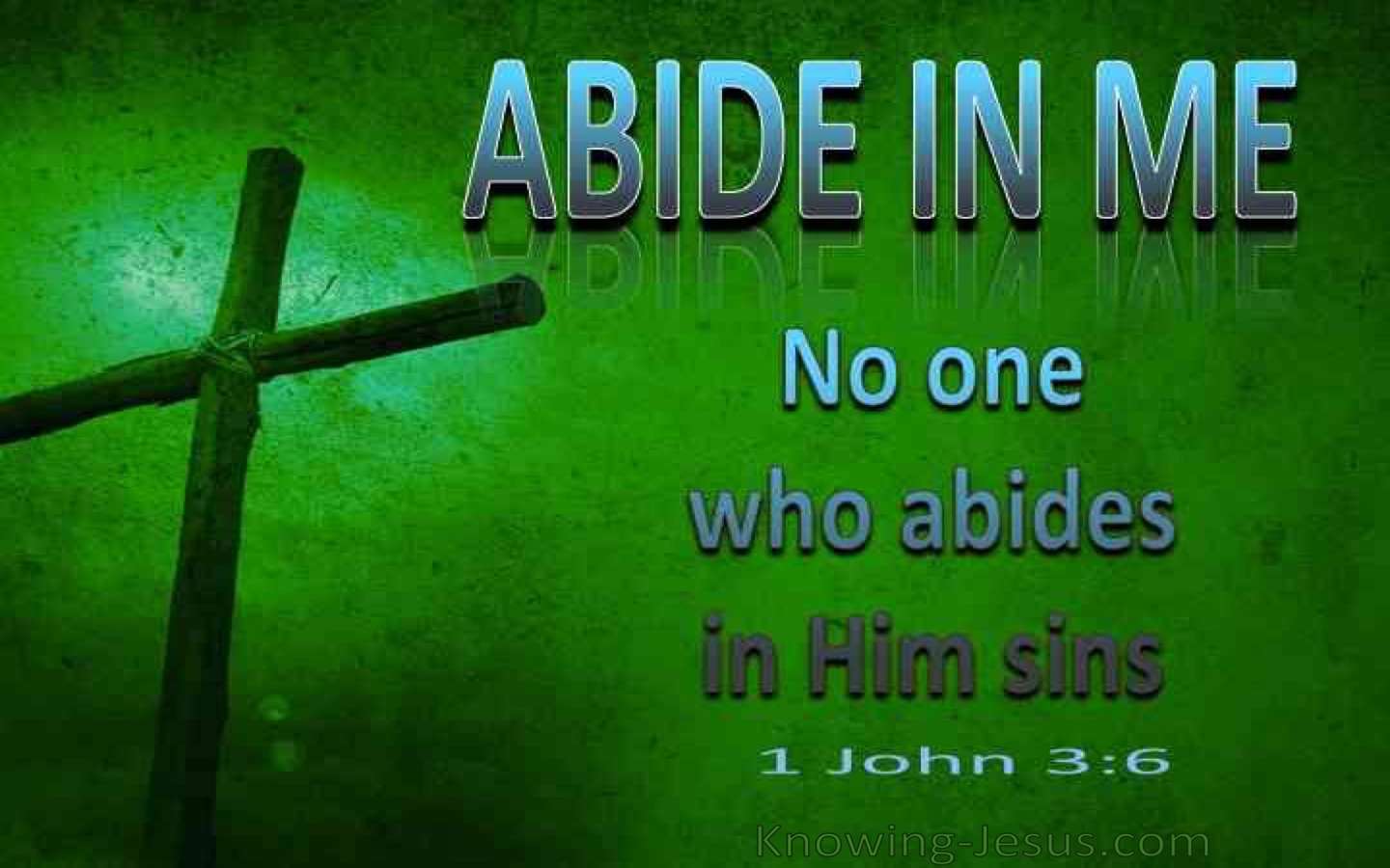 1 John 3:6 No On Who Abides In Me Sins (green)